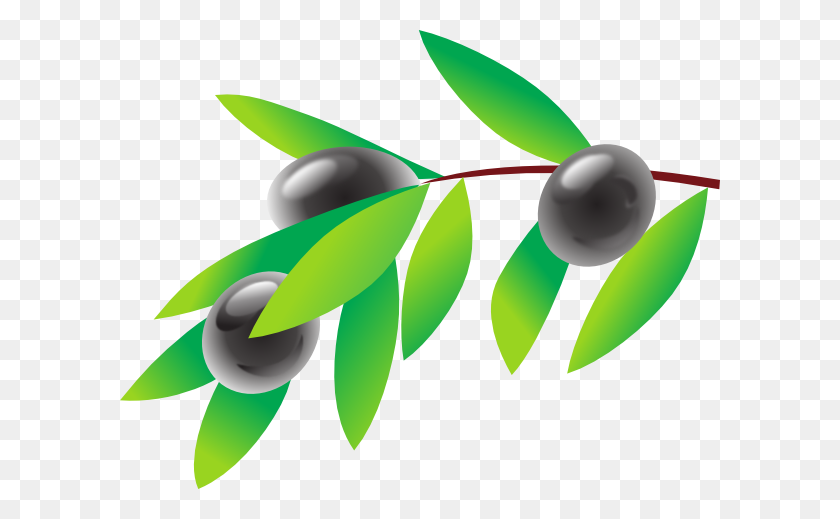 600x459 Olive Branch Clip Art - Olive Oil Clipart