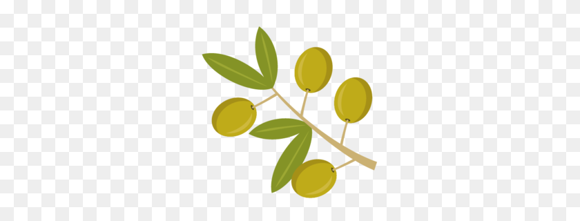 260x260 Olive Branch Clipart - Petition Clipart
