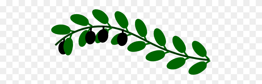 512x212 Olive Branch Clipart - Olive PNG