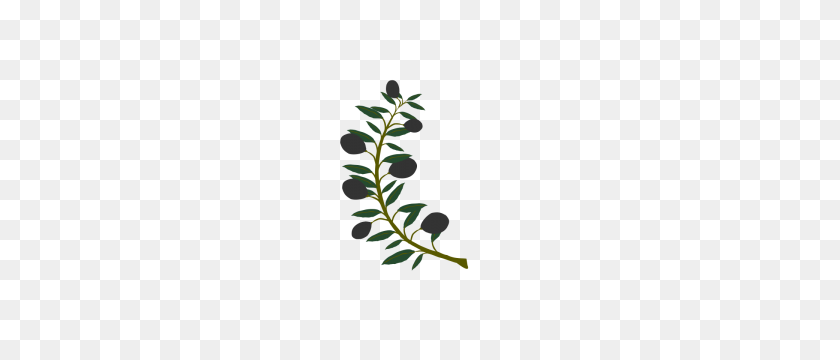 212x300 Olive Branch Clipart Image Group - Olive Clipart