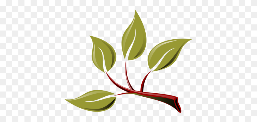 417x340 Olive Branch Drawing Download - Olive Tree PNG