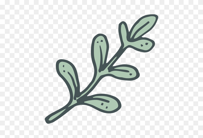 512x512 Olive Branch Hand Drawn Cartoon Icon - Olive Branch PNG