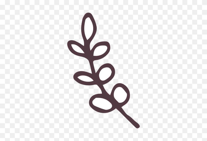 512x512 Olive Branch Hand Drawn Icon Illustration - Ramas PNG