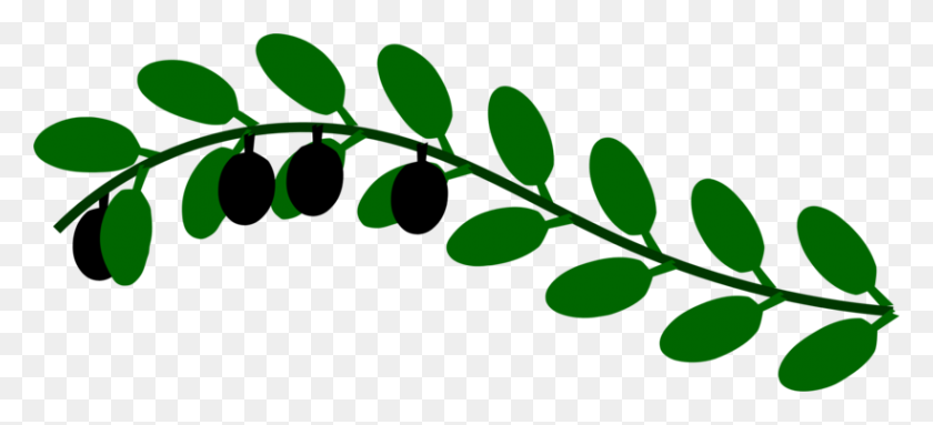 820x340 Olive Branch Leaf Laurel Wreath Tree - Olive Branch Clip Art