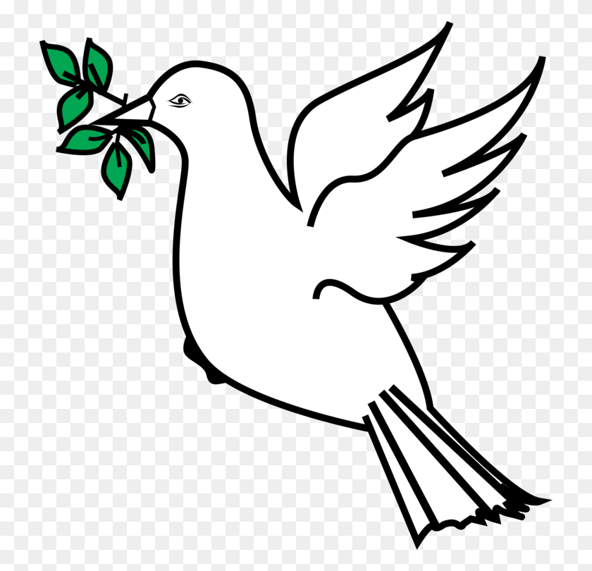 728x750 Olive Branch Petition Columbidae Doves As Symbols - Petition Clipart