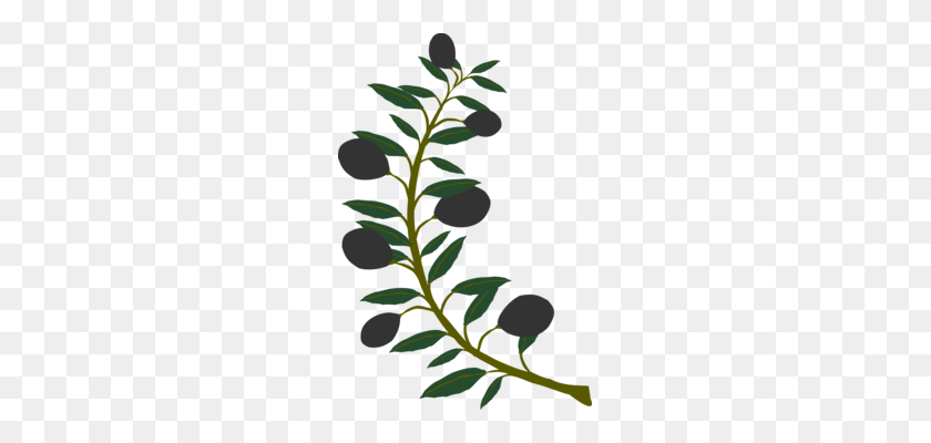229x340 Olive Branch Tree Laurel Wreath - Greenery Wreath Clipart