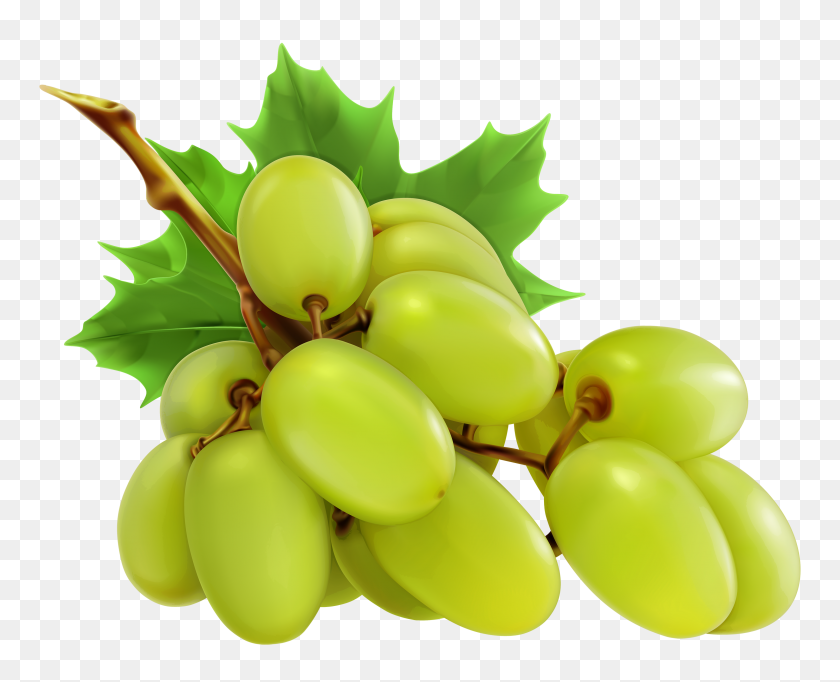 3000x2393 Olive Clipart Grape - Olives Clipart Black And White