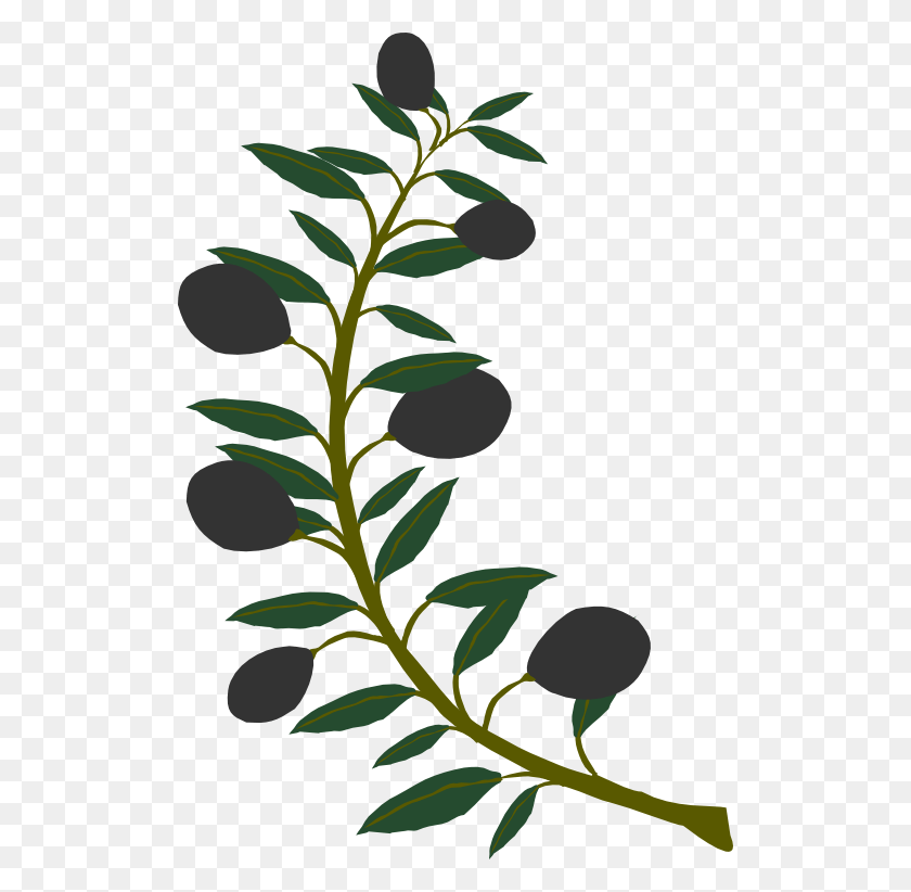 512x762 Olive Cliparts - Olive Leaf Clipart
