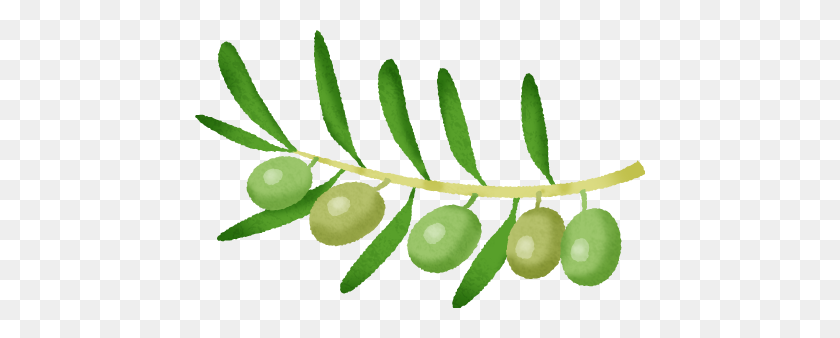 450x278 Olive Free Clipart Illustrations - Olive Tree PNG