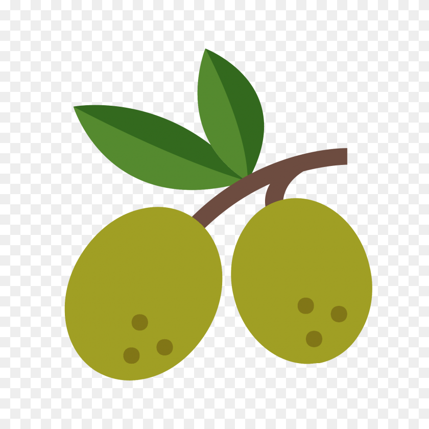 1600x1600 Olive Icon - Olive PNG