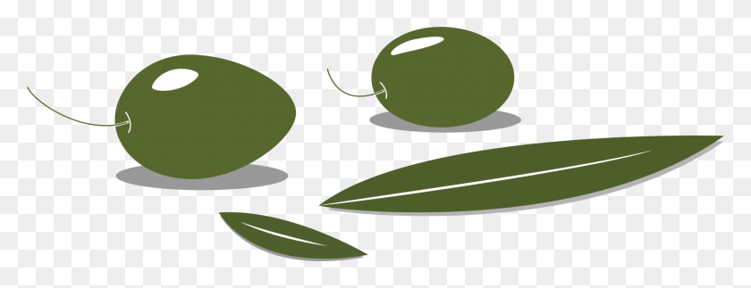 2216x750 Olive Leaf Computer Icons Pdf Fruit - Olive Clipart