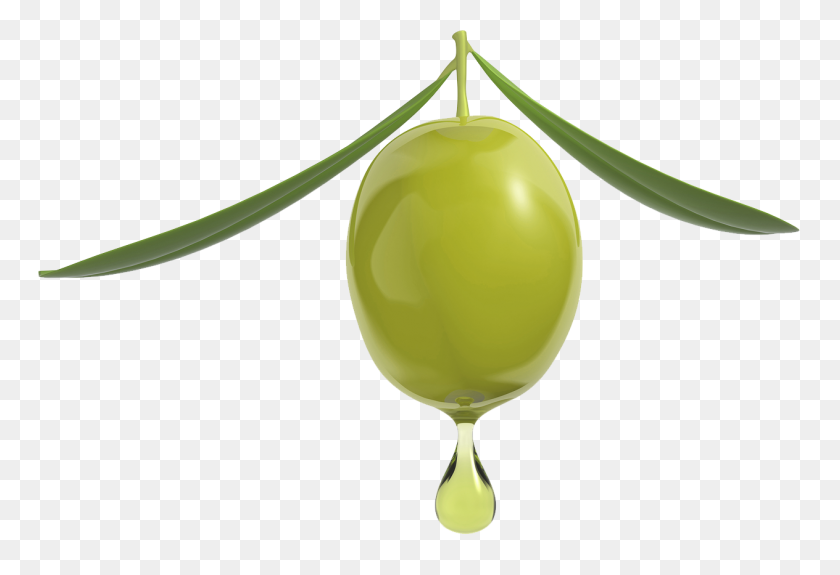 1264x836 Olive Oil Png, Olive Oil Png - Olive PNG