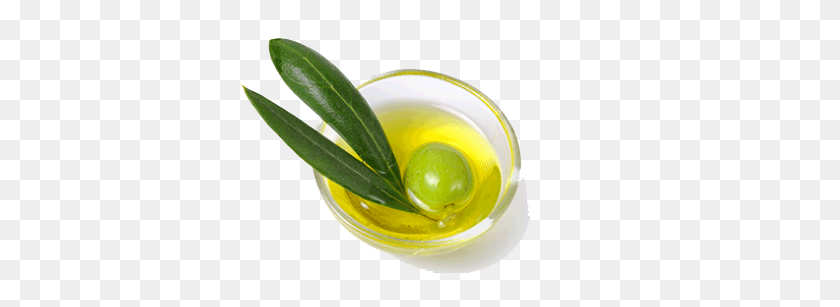 539x247 Olive Oil Png Pic - Oil PNG