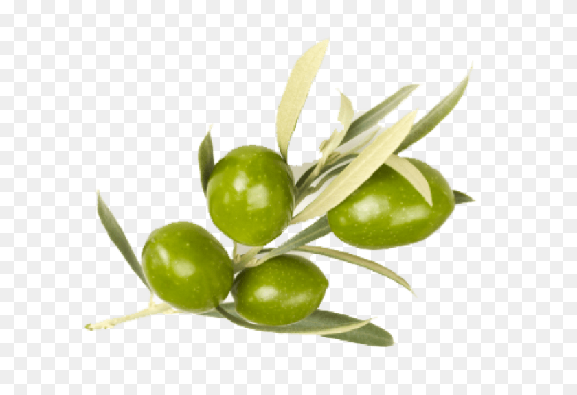 850x563 Olive Png - Olive PNG