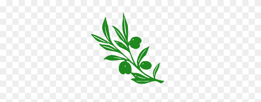 300x269 Olive Tree Branch - Olive Leaf Clipart