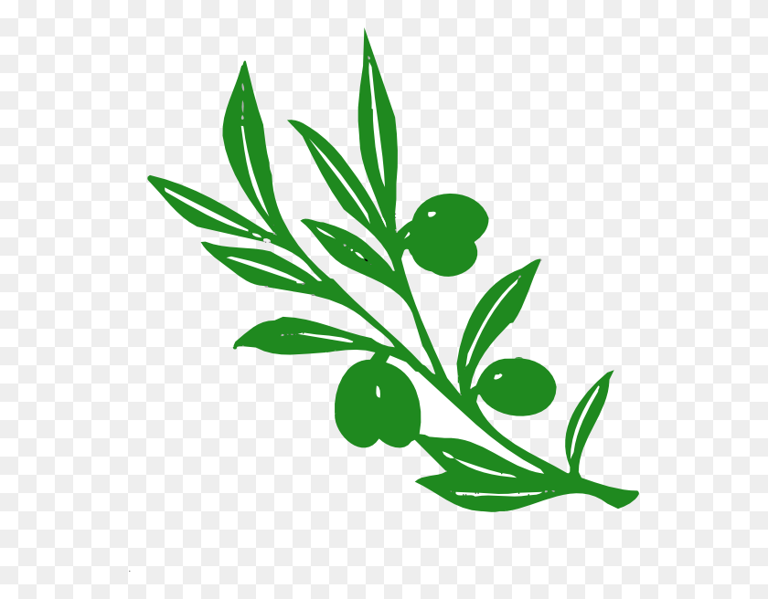 558x596 Olive Tree Branch Png, Clip Art For Web - Branch Clipart PNG