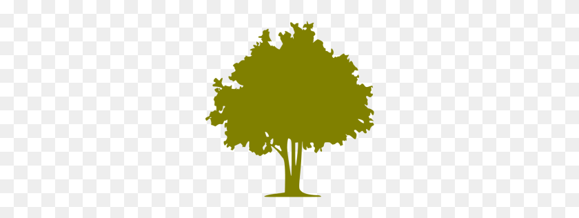 256x256 Значок Оливковое Дерево - Оливковое Дерево Png