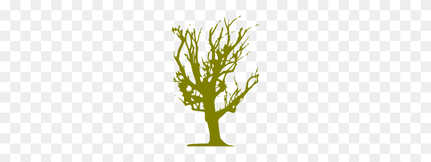256x256 Olive Tree Icon - Olive Tree PNG