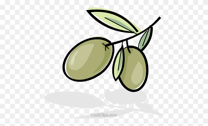 480x450 Olives On A Branch Royalty Free Vector Clip Art Illustration - Olive Clipart
