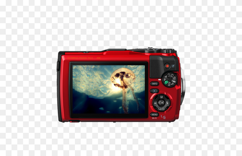 480x480 Olympus - Red Camera PNG