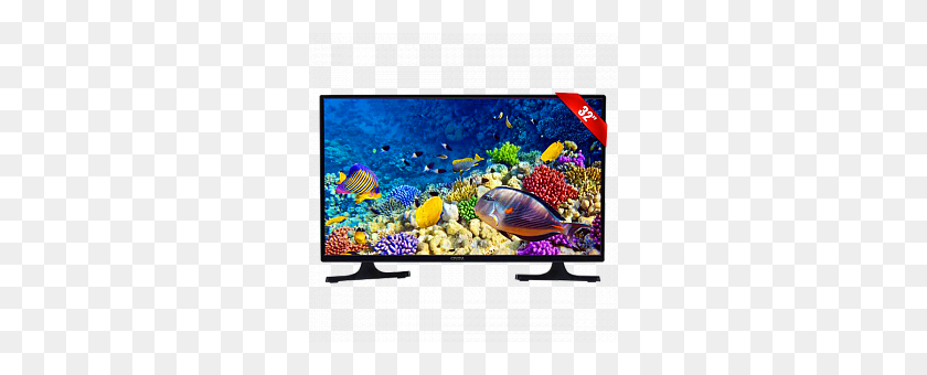 280x280 Onida Inch Hd Led Hdmiusb Television, Цена В Нас - Коралловый Риф Png