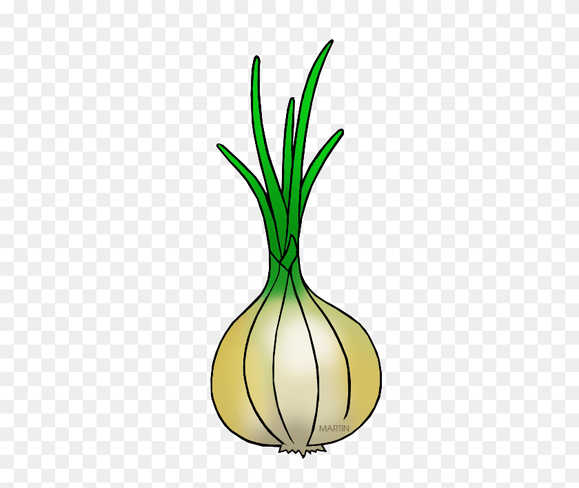 313x648 Onion Bulbs Clipart - Vegetable Border Clipart