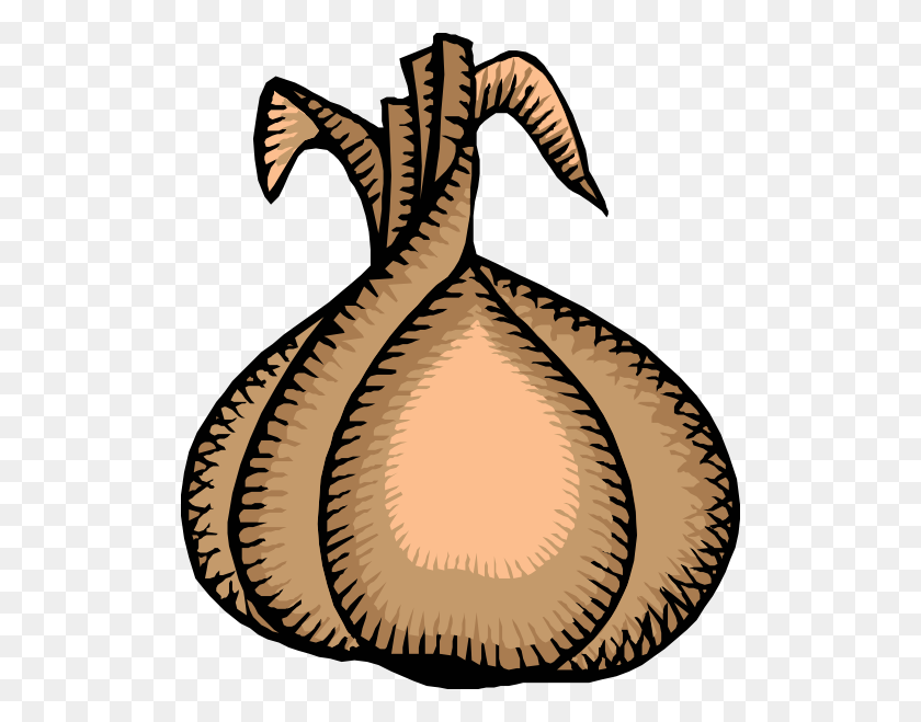510x599 Onion Clip Art Free Vector Carved Pottery - Rag Clipart
