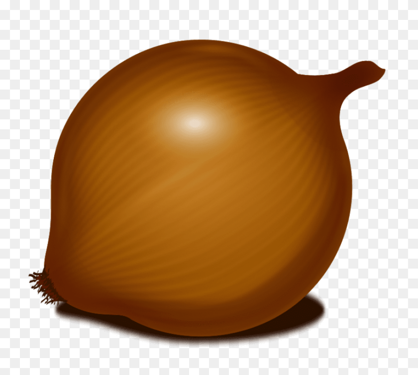 850x757 Onion Png - Onion PNG