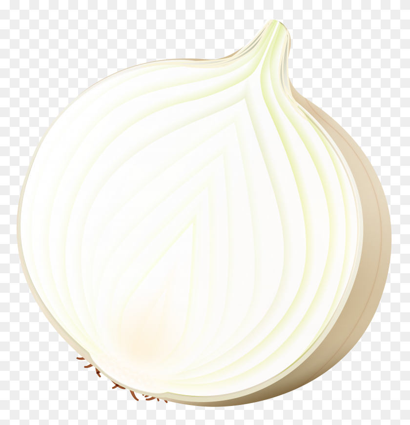 7685x8000 Onion Png Clip Art - Onion PNG