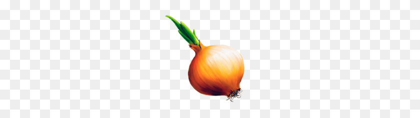 192x177 Onion Png Free Download - Onion PNG