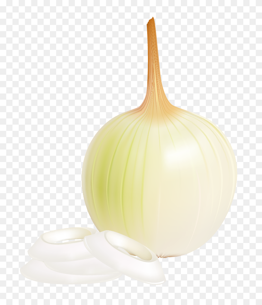 769x919 Onion Png Picture - Onion PNG