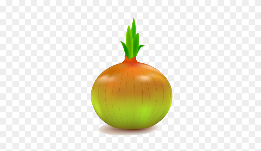 408x425 Onion Vector Png - Onion PNG