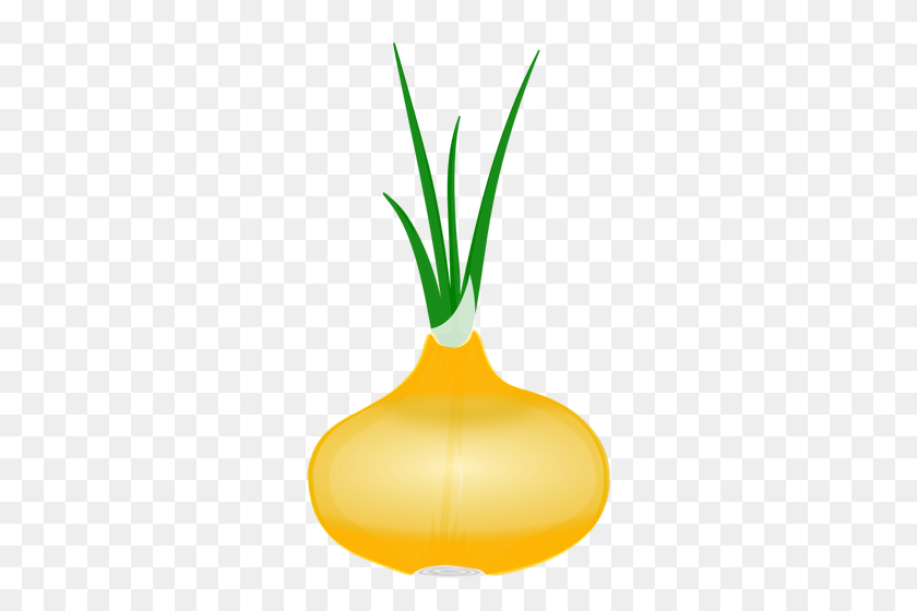 278x500 Onion With Its Leaves Vector Clip Art - Sprout Clipart