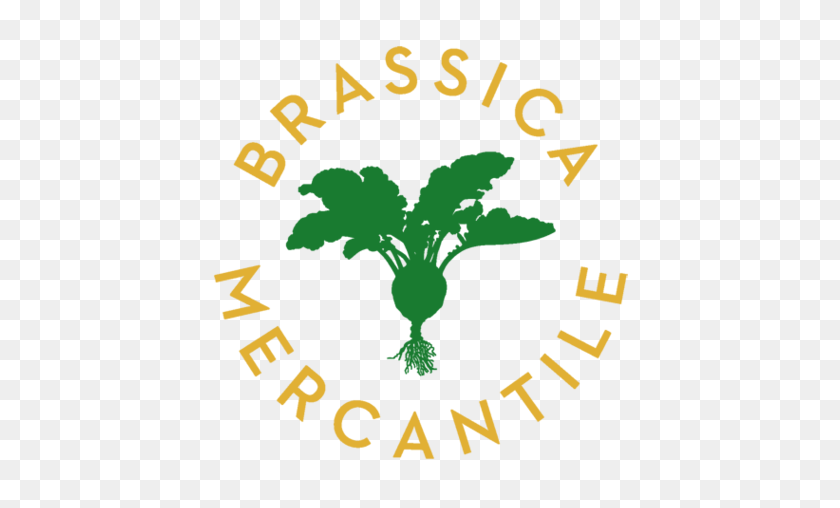 450x448 Online Homewares Brassica Mercantile - Christmas Wreath PNG