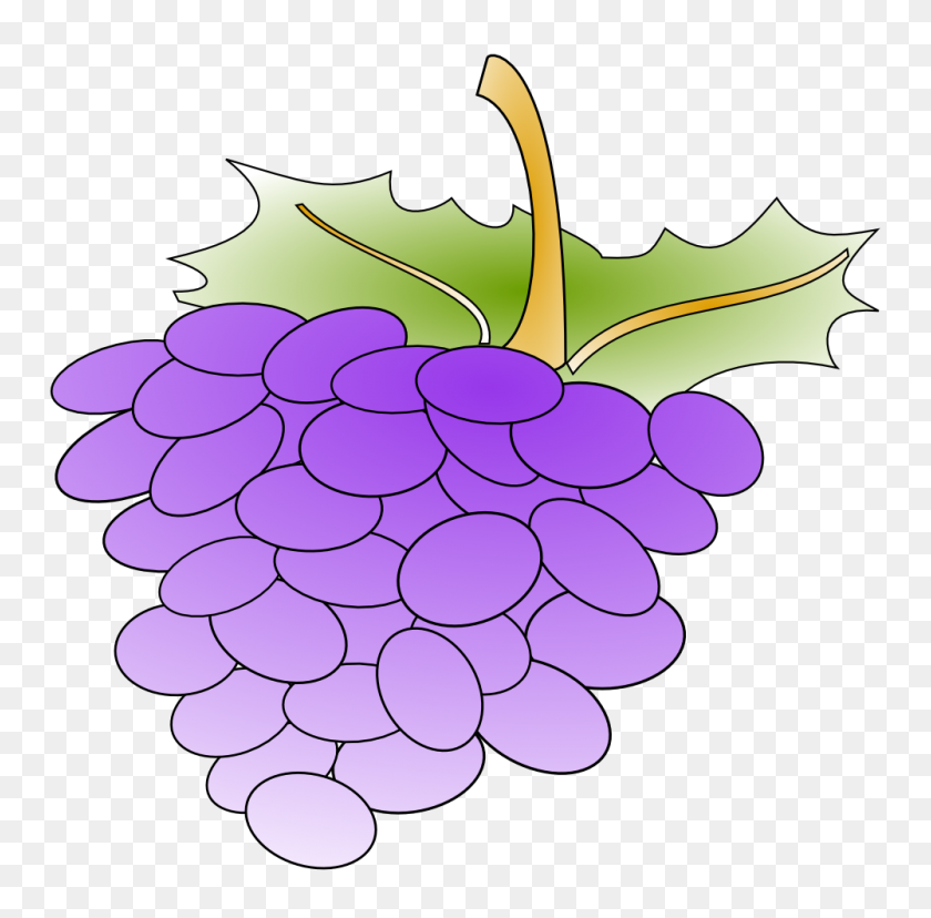 1000x985 Onlinelabels Clip Art - Purple Grapes Clipart