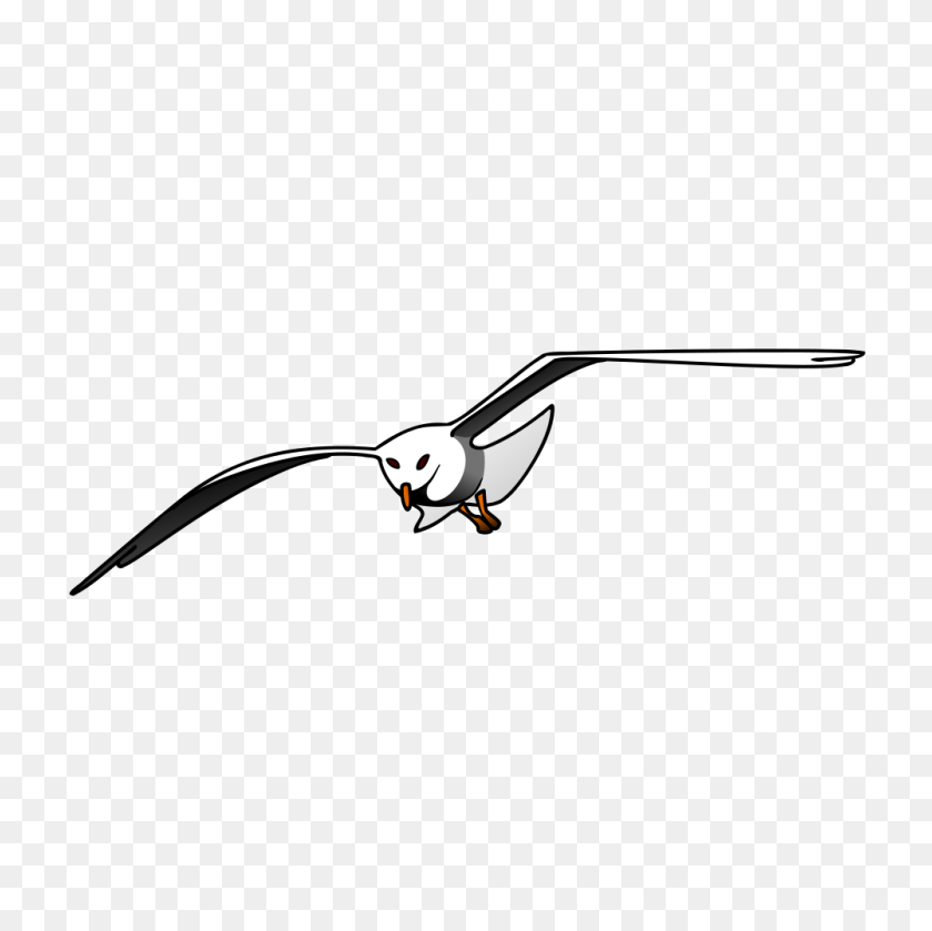 1000x1000 Onlinelabels Clip Art - Seagull PNG