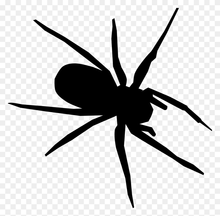 1000x982 Onlinelabels Clip Art - Spider Black And White Clipart