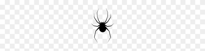 100x150 Onlinelabels Clip Art - Black Widow Spider Clipart