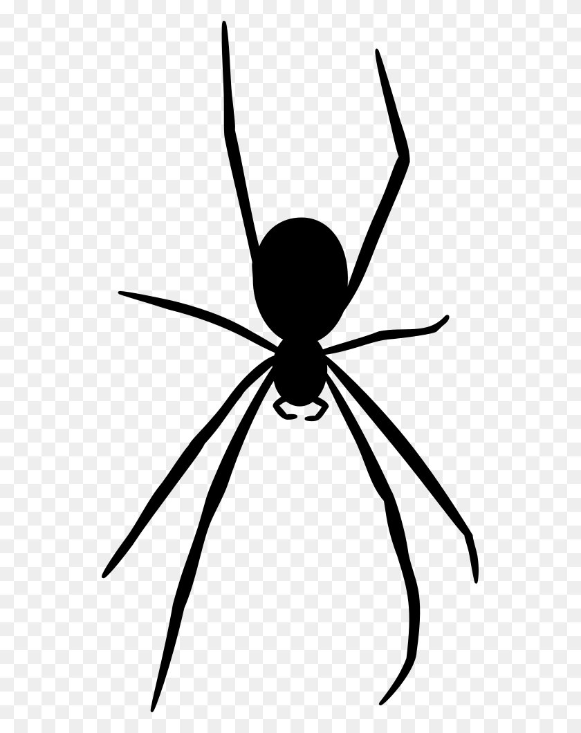545x1000 Onlinelabels Clip Art - Black Widow Spider Clipart