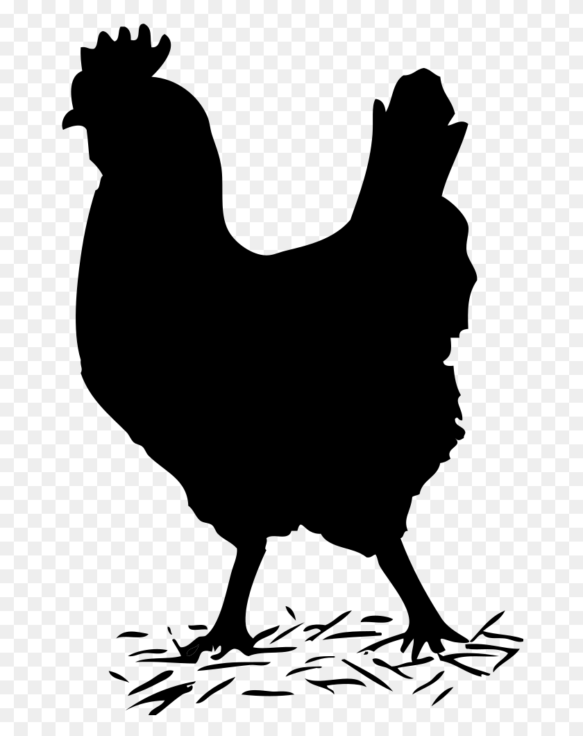 668x1000 Onlinelabels Clip Art - Chicken Black And White Clipart