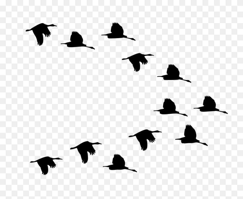 1000x807 Onlinelabels Clip Art - Flock Of Birds Clipart