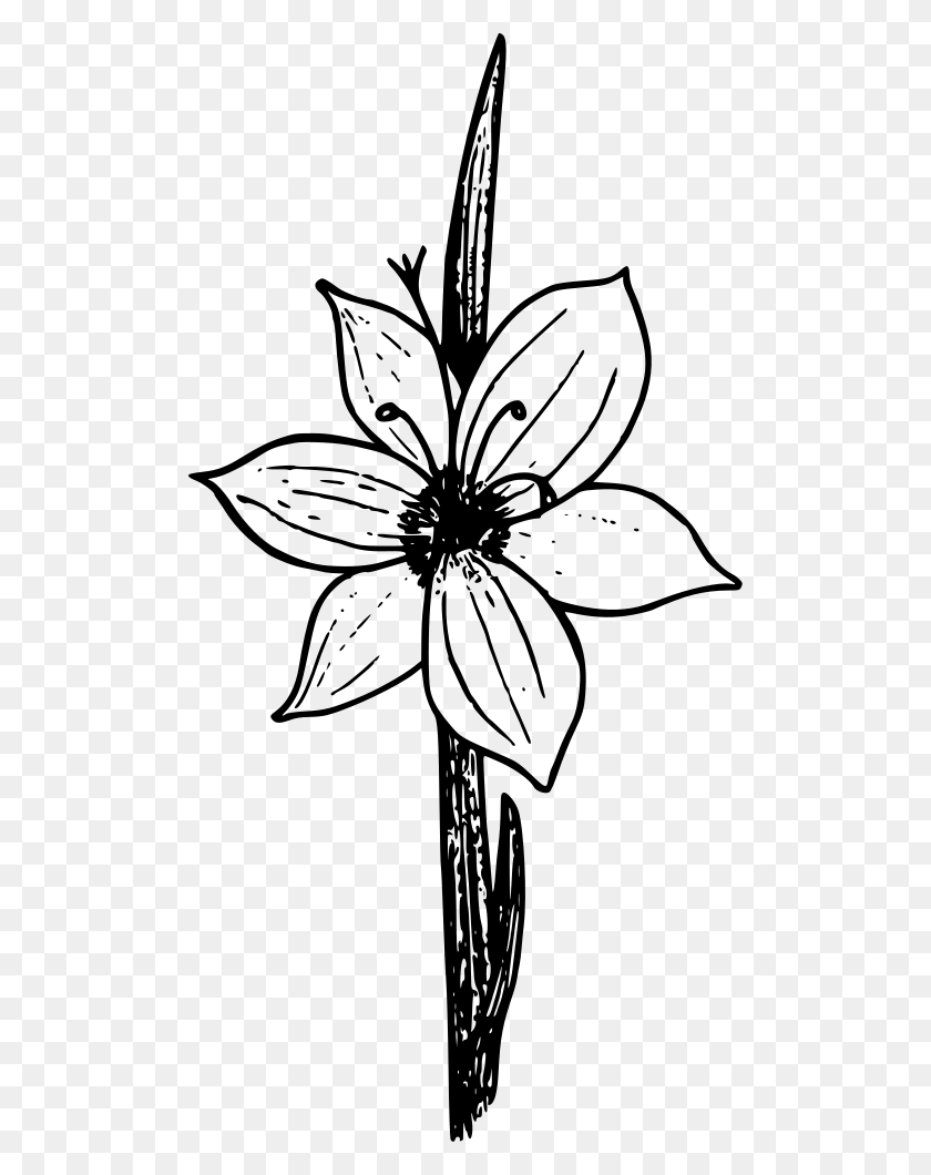 500x1000 Onlinelabels Clip Art - Grass Black And White Clipart