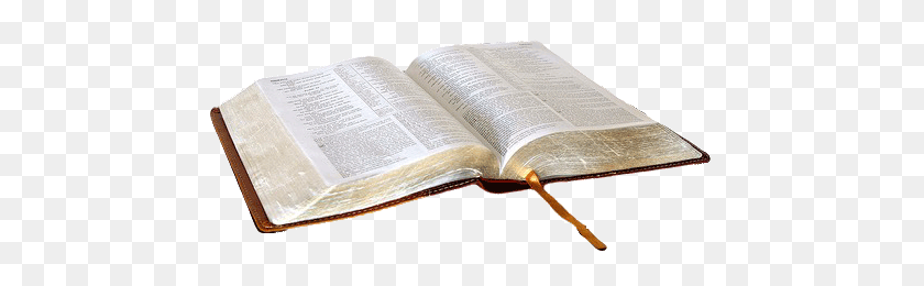 464x200 Biblia Abierta Clipart Png, Declaración De Fe Libertad Bautista - Biblia Png