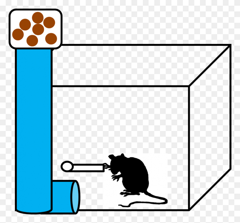810x751 Operant Conditioning - Revising Clipart