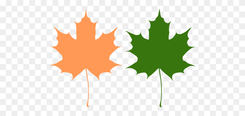 500x338 Orange And Green Maple Leaves Vector Drawing - Leaf Vector PNG