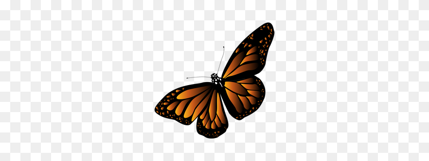 256x256 Orange Arrow Round Button - Butterfly Vector PNG