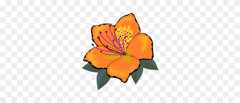 300x300 Orange Blossom Flower Clip Art - Marigold Clipart