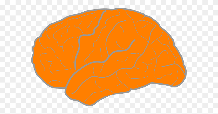 600x382 Orange Brain Png Clip Arts For Web - Brain Outline Clipart