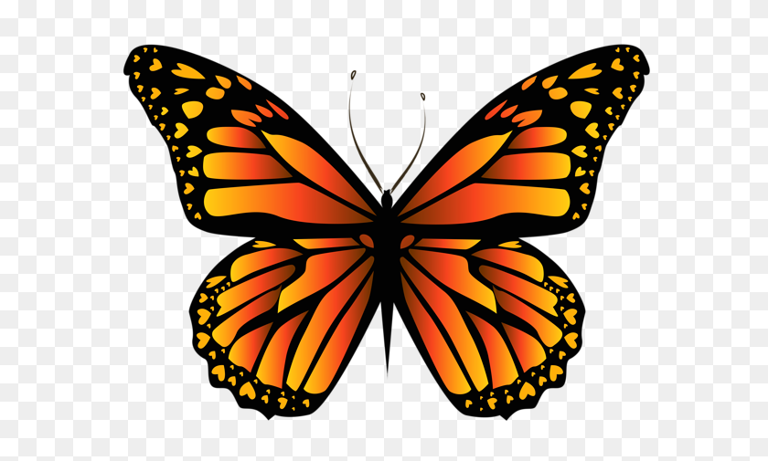 600x445 Оранжевая Бабочка Png Изображения Animales - Желтая Бабочка Png