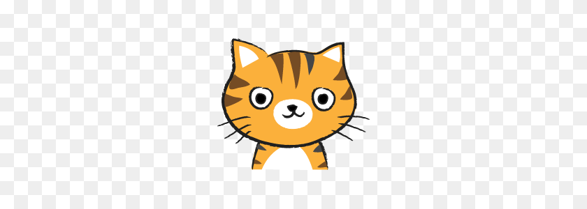240x240 Orange Cat Cute Cute Line Stickers Line Store - Orange Cat PNG